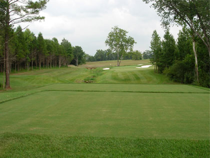Hole 6